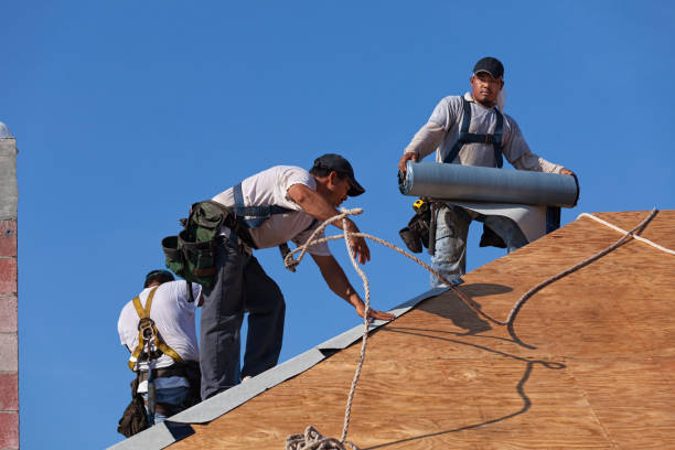 Best New Roof Installation  in Union Park, FL
