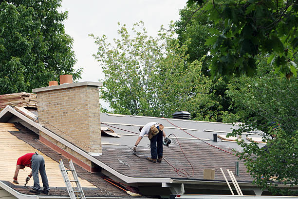 Best Shingle Roofing Installation  in Union Park, FL