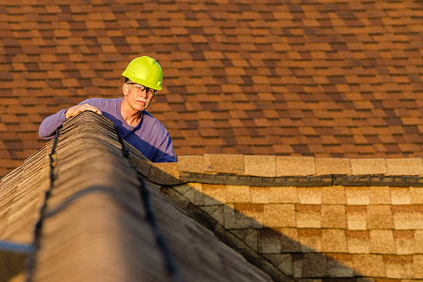 Best New Roof Installation  in Union Park, FL