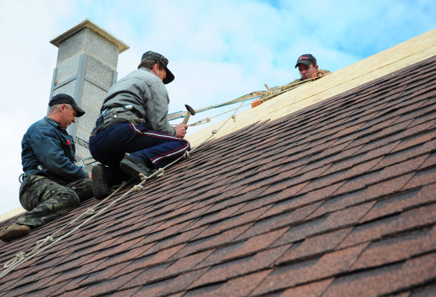 Best Storm Damage Roof Repair  in Union Park, FL