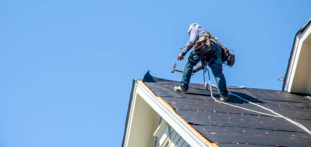 Best Gutter Installation and Roofing  in Union Park, FL